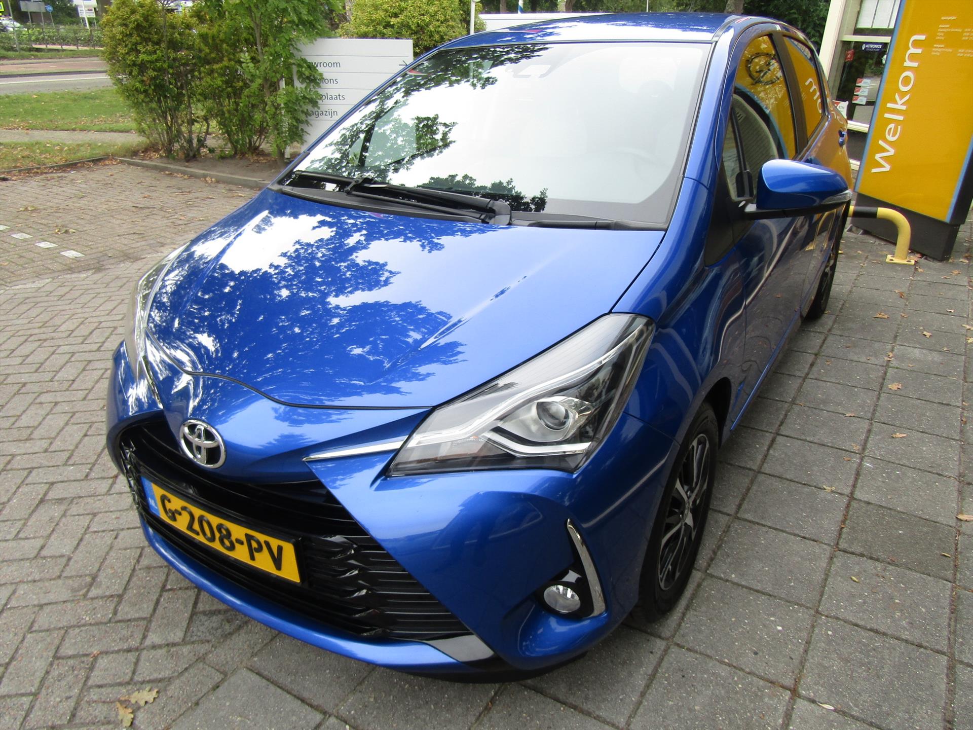 47376897-5.jpg