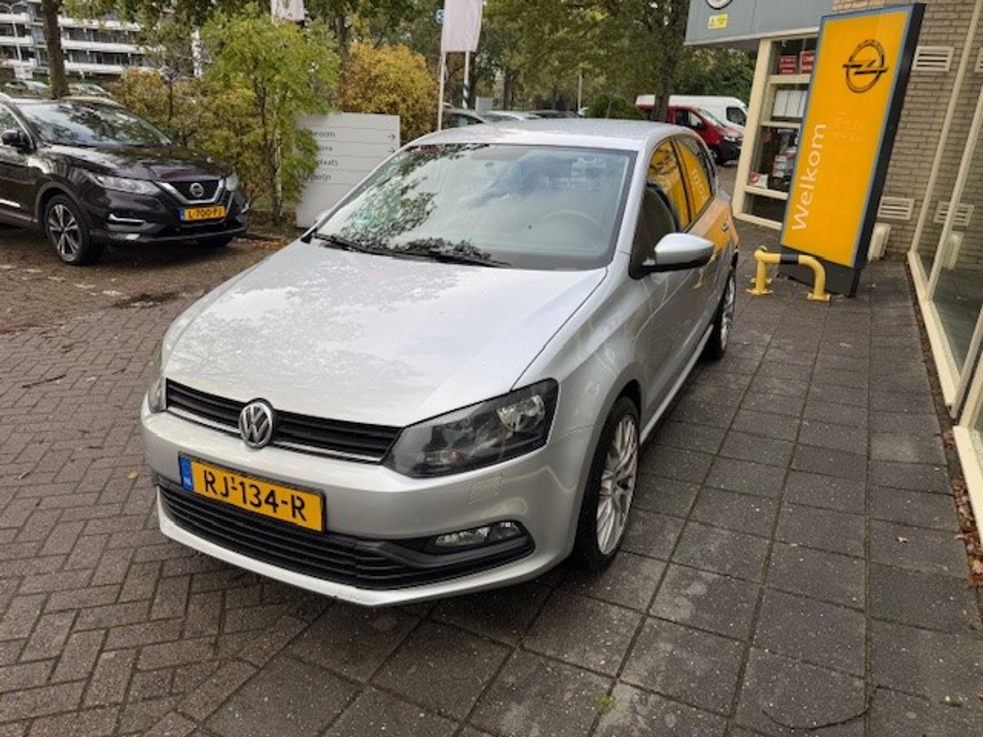 48654650-3.jpg